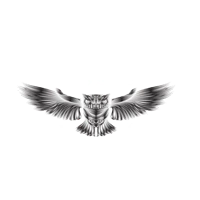Online Web Launch logo