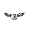 Online Web Launch logo